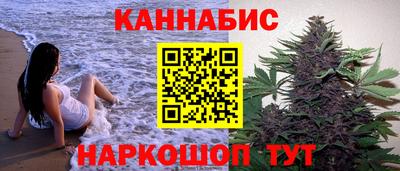 молекула духа Будённовск