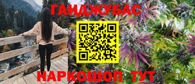 молекула духа Будённовск