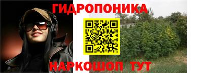 молекула духа Будённовск