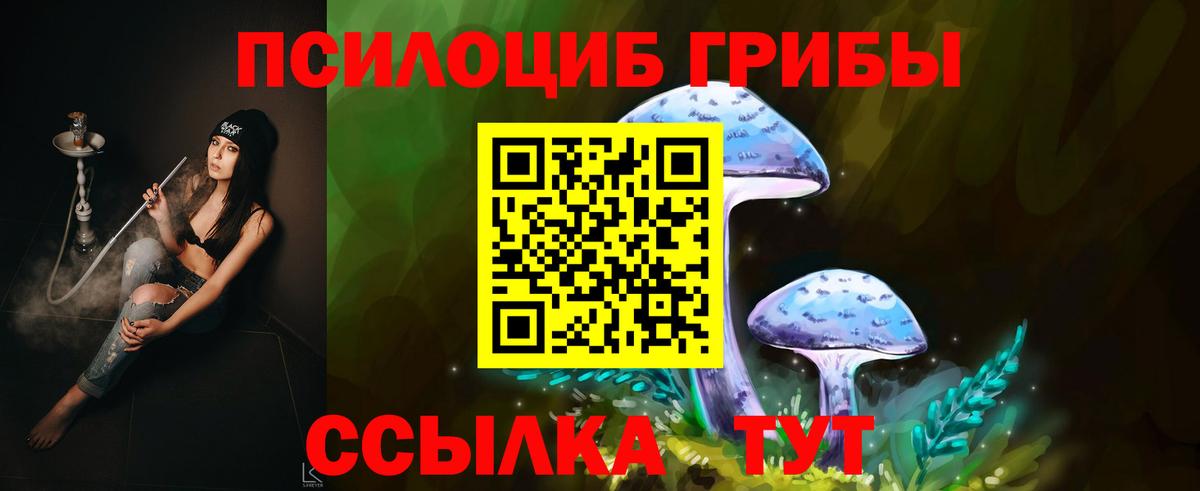 Псилоцибиновые грибы GOLDEN TEACHER  Вход с VPN  Троицк 